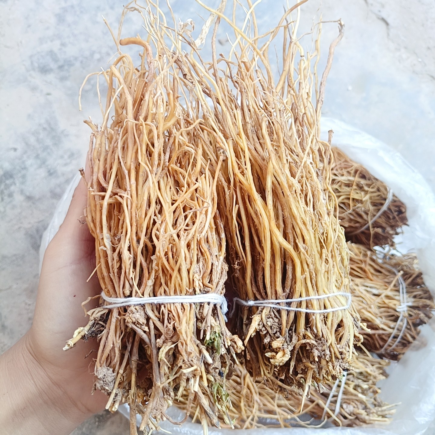 龙胆草 云南中药材南龙胆草苦胆草坚龙胆 整棵滇龙胆草 水洗干货