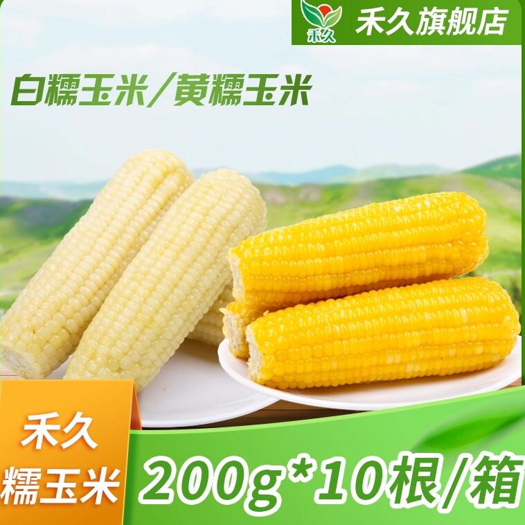 禾久糯玉米清甜软糯白玉米棒粘糯清香黄玉米非转基因真空装