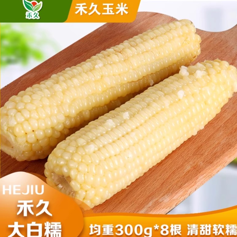 禾久白糯玉米甜粘软糯鲜食玉米棒非转基因真空装 均重300g*8根