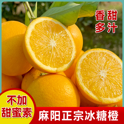 正宗湖南麻阳冰糖橙现摘现发