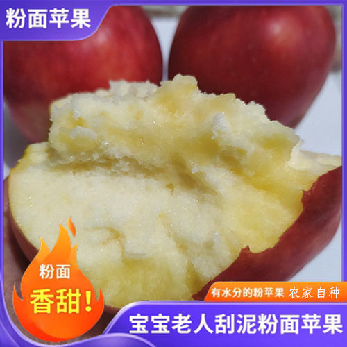 新鲜新果粉面沙甜苹果绵水果
