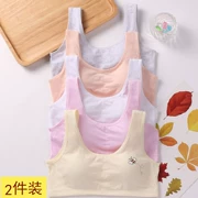 Áo vest phát triển học sinh trung học cơ sở 12-14-15-16 tuổi nữ sinh trung học bra lớn boy cotton đồ lót mỏng - Ống