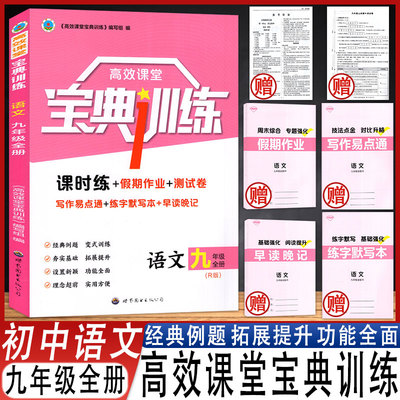 2024版高效课堂宝典训练语
