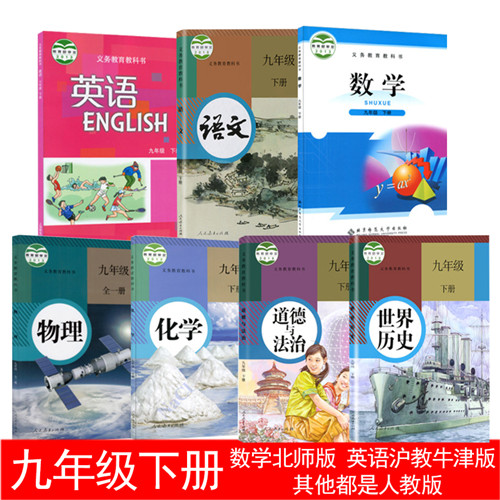 深圳专用初三九年级下册