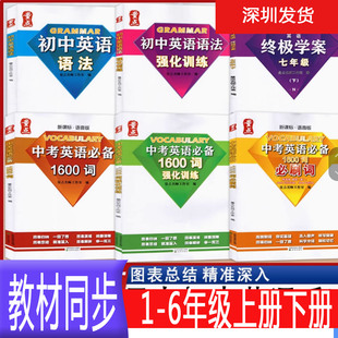 量点初中英语语法强化训练中考英语必备1600词必刷词强化训练终极学案中考英语词汇单词语法大全七八九年级英语量点英语语法词汇