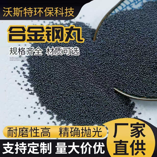 抛丸机钢丸钢砂合金钢丸钢丝切丸钢丸喷砂除锈配件厂家直销