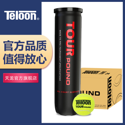 Teloon/天龙专业比赛网球整箱