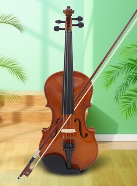 优质AV-105普及小提琴全木质自然色儿童学生成人演奏声音优美动听