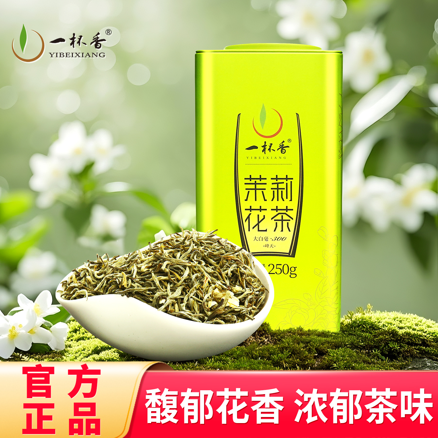 2025新茶横县特级茉莉花茶250g