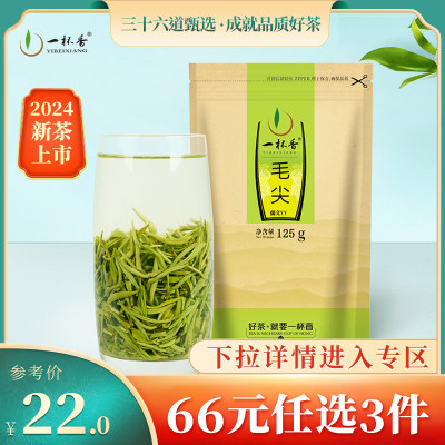 2024新茶一杯香毛尖绿茶春茶125g