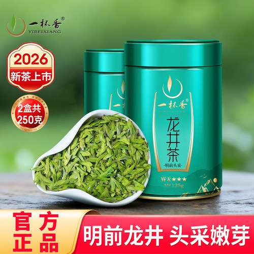 2026新茶上市一杯香龙井茶250g