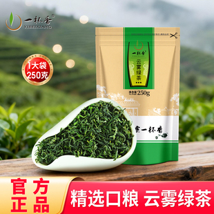 2025新茶一杯香明前云雾绿茶茶叶250g袋装日照足正品官方旗舰店