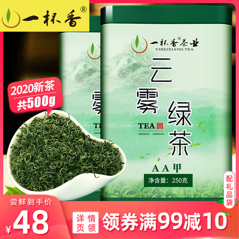 新茶明前云雾绿茶500g礼盒装一杯香毛尖茶叶浓香型日照足散装