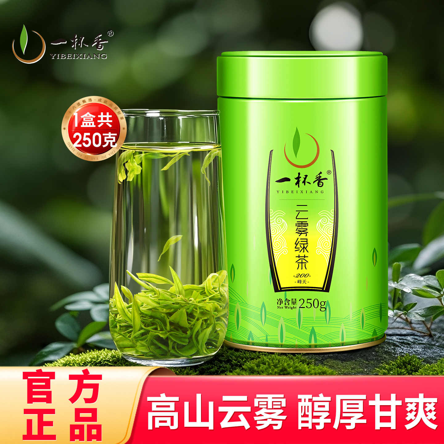 2025新茶一杯香高山云雾绿茶250g
