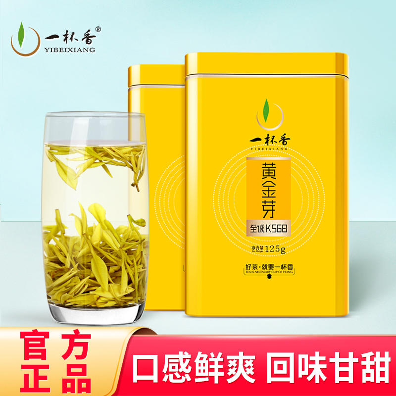 2025新茶一杯香黄金芽绿茶250g