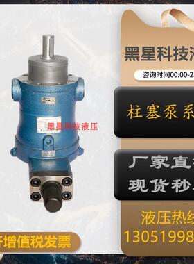 新款启东巨威10/16/25/32/40/63/80/100/160/250YCY14-1B轴向包邮