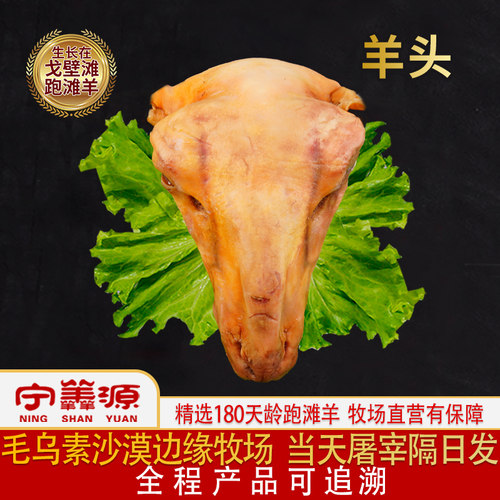 宁夏滩羊肉-羊头-1个带皮带骨生羊头浇给羊头手洗羊头羊杂