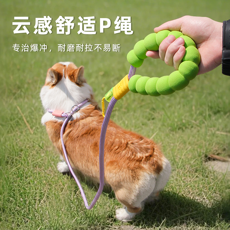 狗狗牵引绳p链p绳遛狗链子