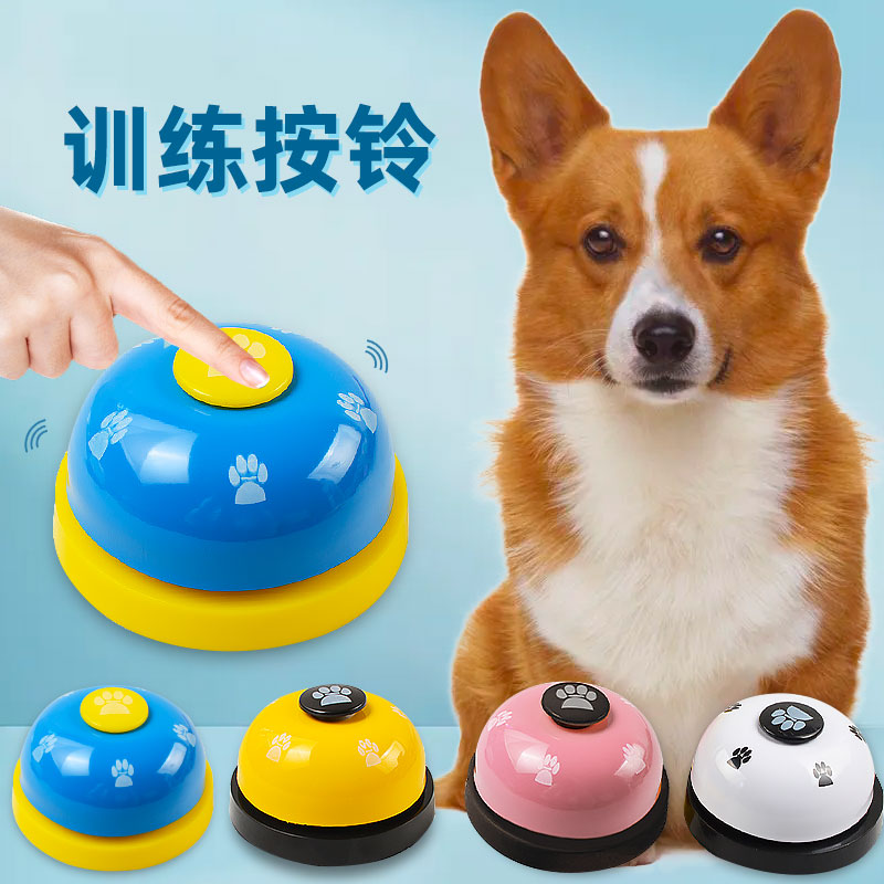 训练互动 提高智力