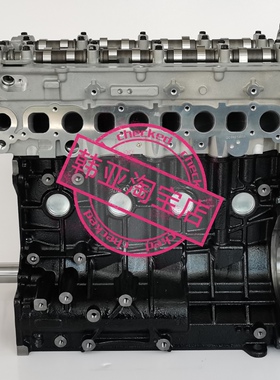 现代辉翼H-1H1/STAREX起亚K2500货车D4CB发动机中缸气缸体总成
