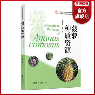 菠萝种质资源 中国热带亚热带特色果树种质资源丛书 4个类群55个菠萝种质资源 广东科技出版社官方正品