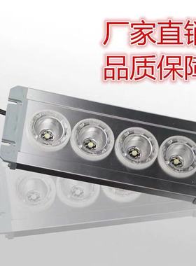 NFE9121LED应急灯车间免维护低顶灯24V36V220V电厂变电站房