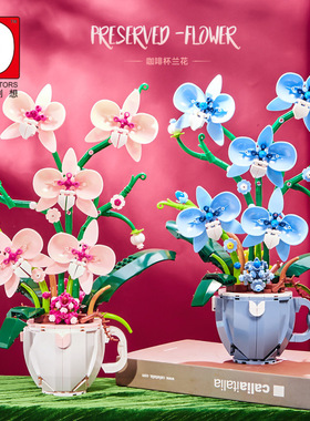 DK3004-5咖啡杯花束蝴蝶兰花雏菊儿童益智拼组装积木玩具摆件