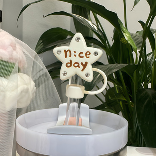 10mm适配stanley保温杯吸管防尘塞吸管套史丹利水杯配件吸管帽