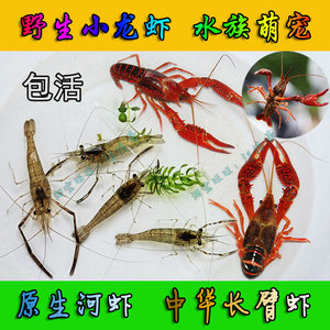 【原生 冷水图片】近期1800组原生 冷水