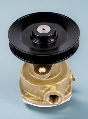 狮龙船用海水泵 Sherwood Engine Sea Water Pump G910P