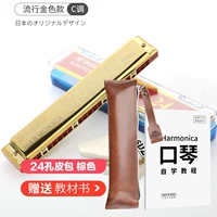 [24 -отвернка Популярное золото C Tone] Книга учебника+коричневая сумка