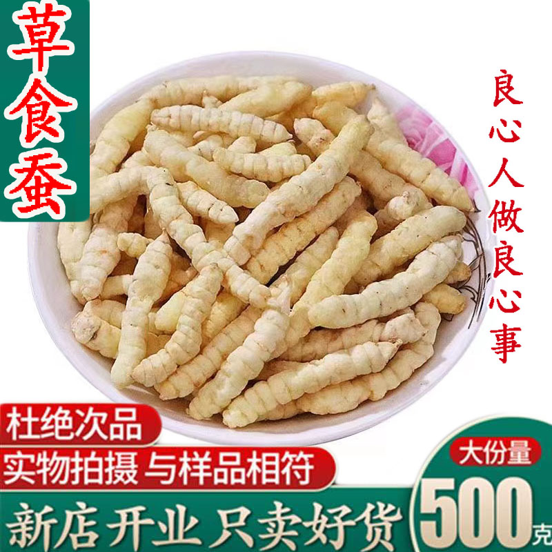 中药材 草石蚕 地蚕 土冬虫草 泽兰根 白虫草花草茶500克包邮