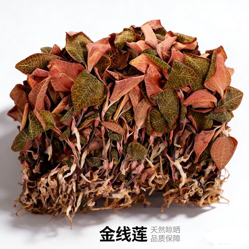 金线莲南靖无杂质原产地直发