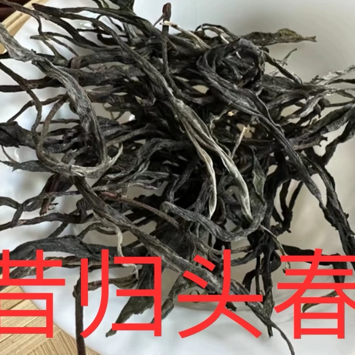 【明前头春昔归忙麓山核心区】普洱生茶大树散茶传统手工制作