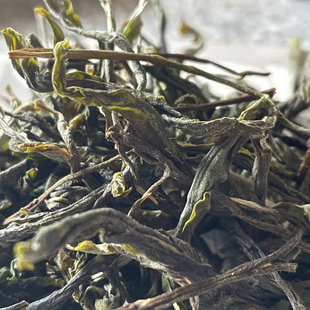 【2025年临沧邦东头春岩茶】普洱生茶与石共生生长于岩石缝中的茶