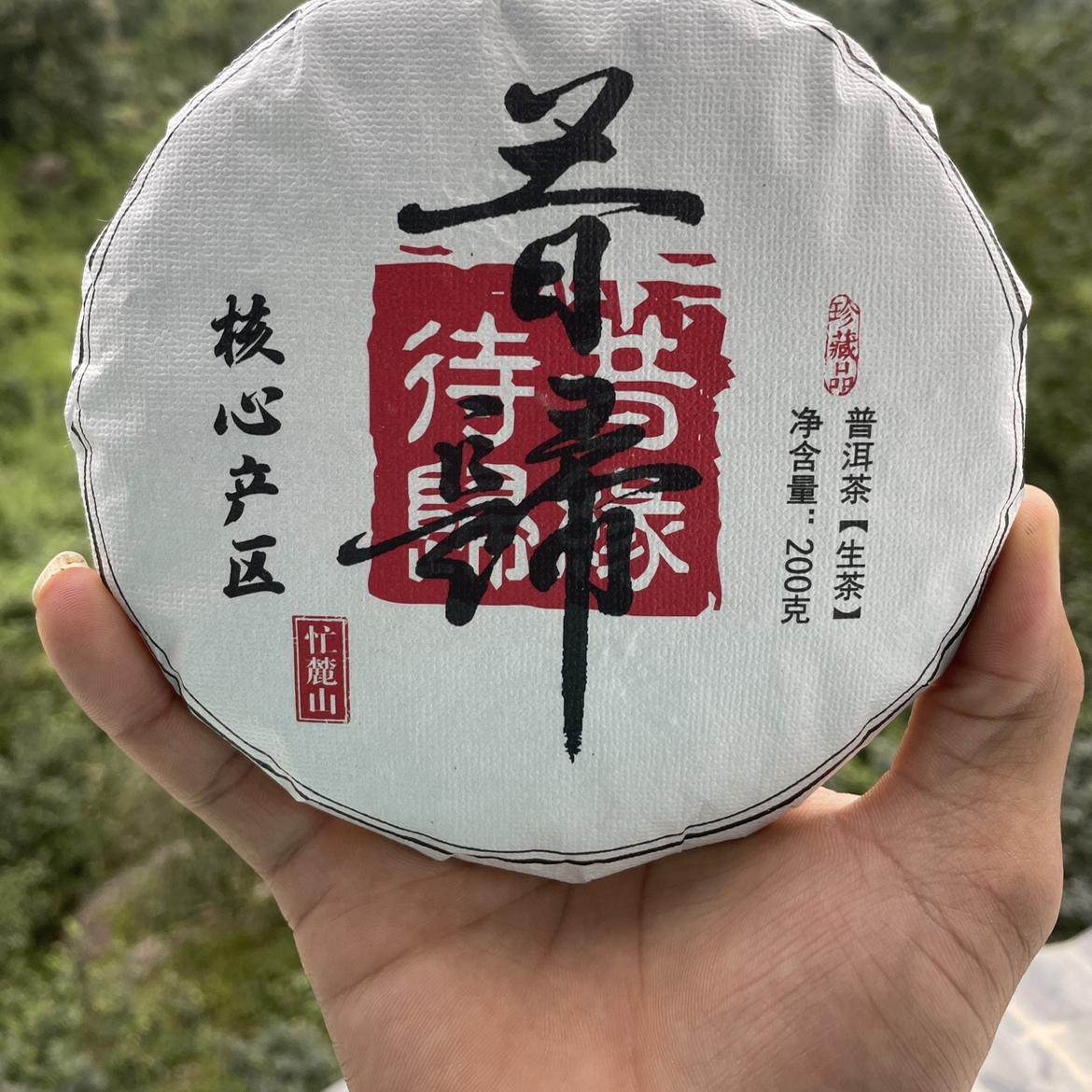 【昔归忙麓山核心区】普洱生茶源头茶农传统手工制作山头纯料