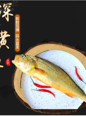 深水大黄鱼半野生石浦海鲜水产 9两-1斤左右/条2条装宁波象山特产