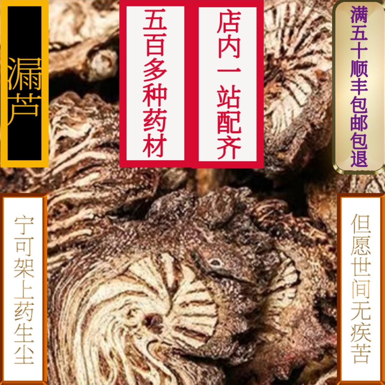 野生漏芦，店内一千种中药材无假货新货无硫国标检测地道正宗。