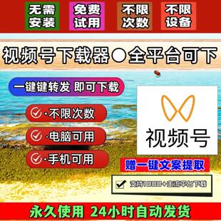 视频号下载工具微信机器人无限制会员无配置要求一键转发电脑