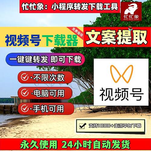 视频号下载工具网页软件永久使用Win系统无限次数抖音快手卡号mp4