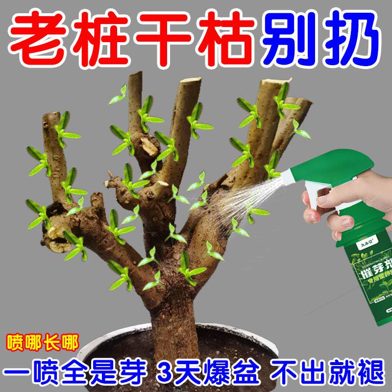 猛抽芽】老桩催芽剂促芽僵苗快速发新芽防黄叶促花营养通用复活肥