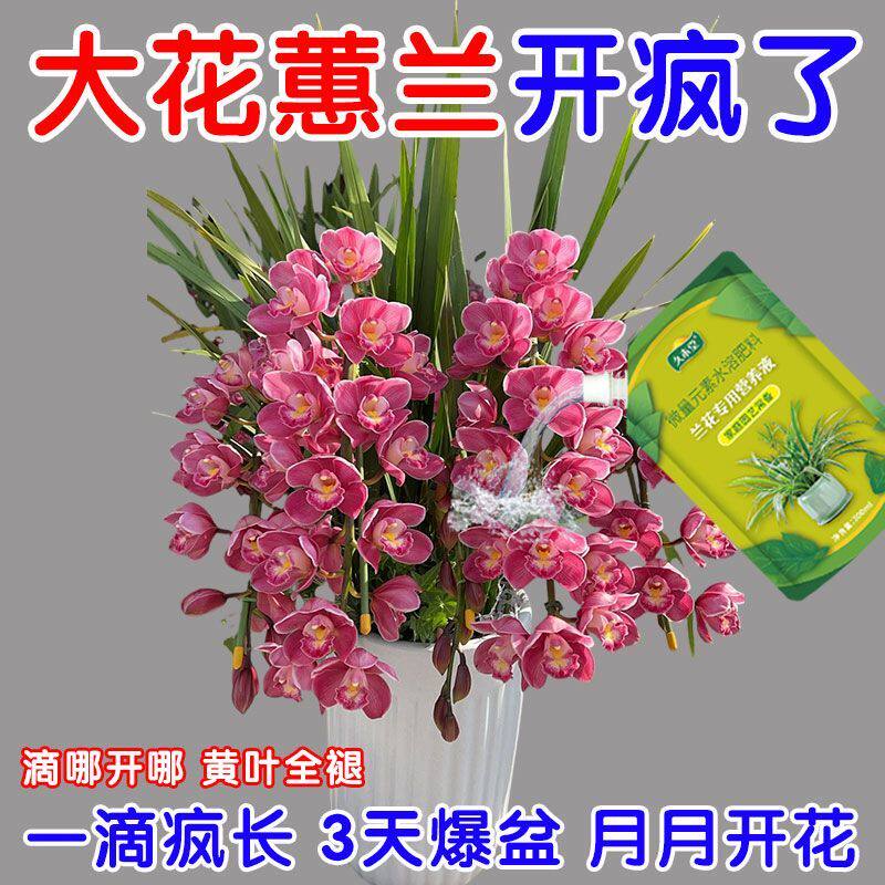 大花惠兰营养液专用肥花卉肥料通用型控释营养有机花肥家用盆栽肥