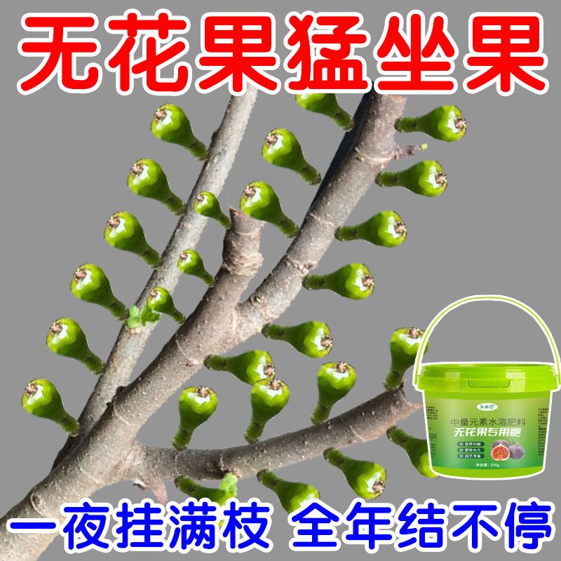 坐果王】无花果肥料专用肥增甜膨果植物天然营养肥治黄叶氮肥