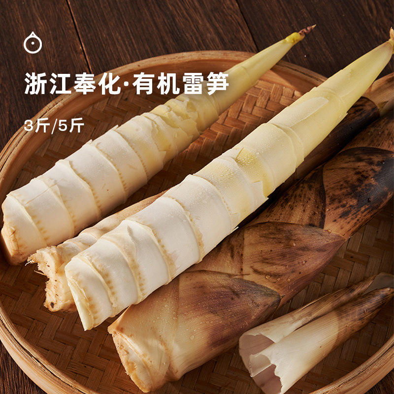 企鹅市集 奉化春笋 浙江奉化有机春笋新鲜雷笋新鲜带壳小竹笋