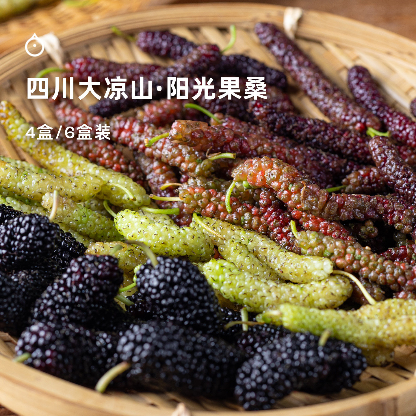 15天内发 企鹅市集阳光果桑 四川大凉山蜜桃果桑四拼独家品种桑葚