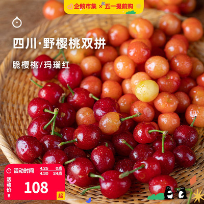 15天内发 企鹅市集 四川野樱桃 大凉山小樱桃玛瑙红双拼新鲜水果