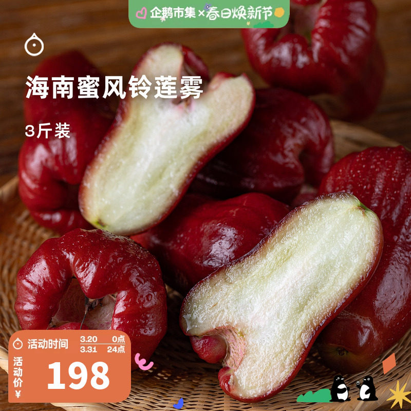 企鹅市集 蜜风铃莲雾 海南三亚精品莲雾果新鲜时令水果3斤礼盒装