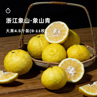 企鹅市集 象山青柑橘 浙江象山春香蜜柑新鲜橘子时令水果4.5斤装