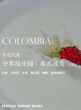 咖啡豆下单烘焙 哥伦比亚分界线庄园希爪波旁Sidra-Bourbon半水洗