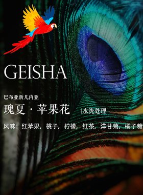 精品咖啡豆 巴布亚新几内亚PNG瑰夏水洗【苹果花】Geisha Washed